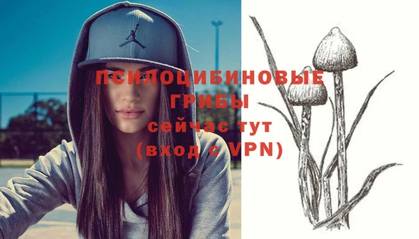 PSILOCYBIN Лихославль
